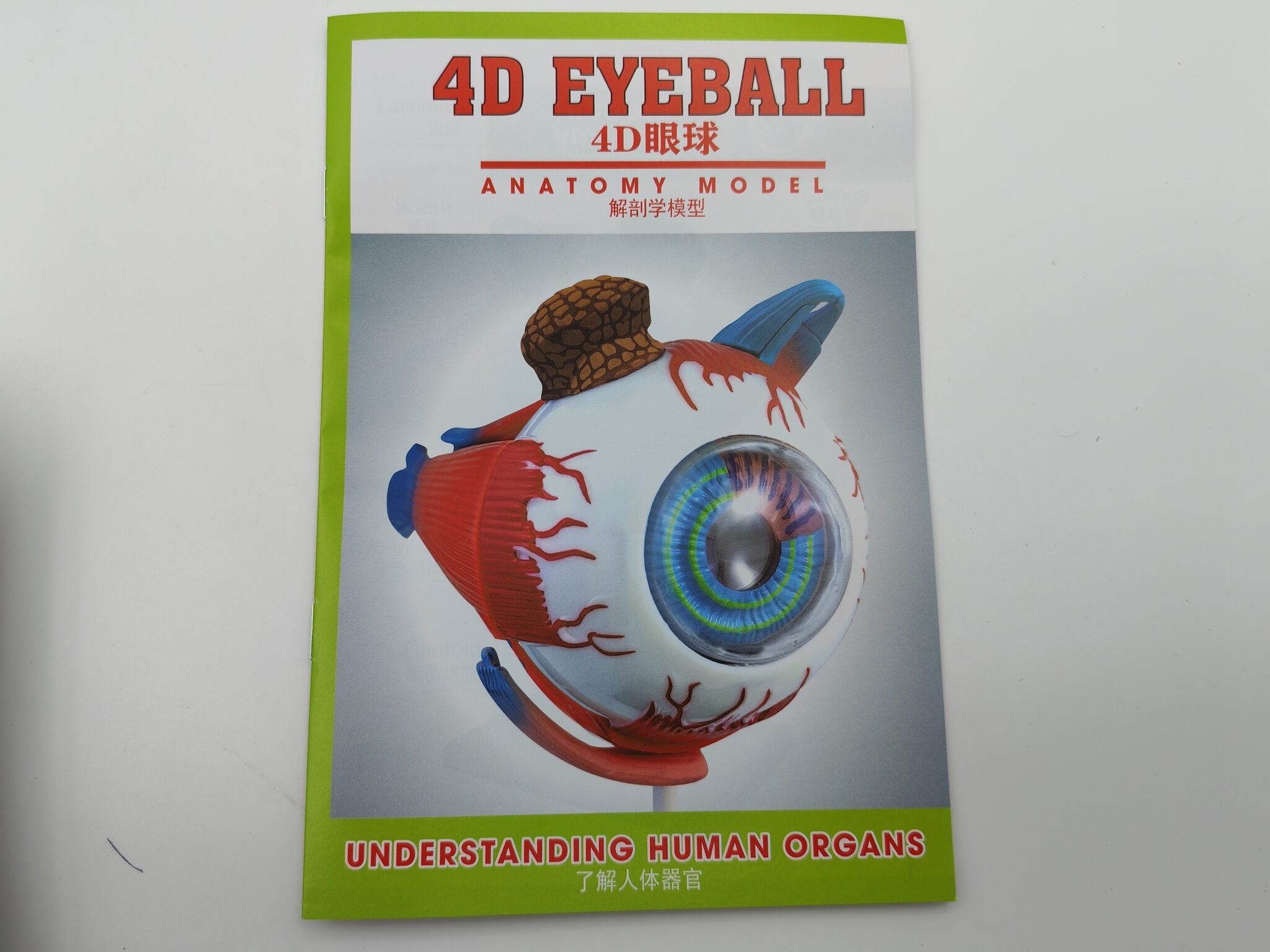 4D نموذج عين الصورة الثانوية للمنتج