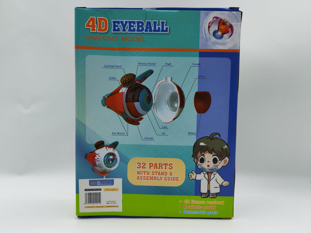 4D نموذج عين