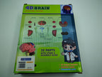 4D نموذج دماغ