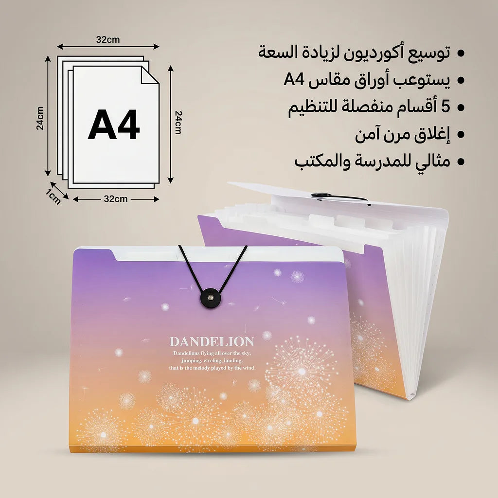 حقيبة أكورديون بحجم A4 عدد